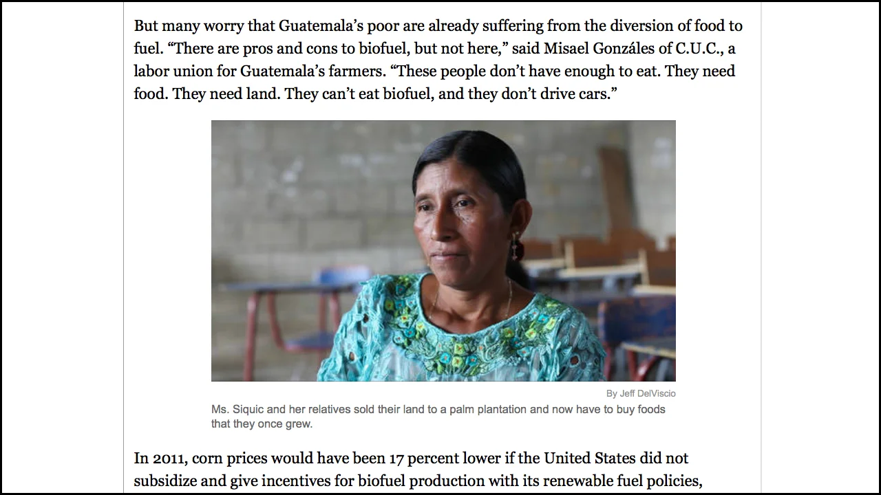 Portraits: Biofuel Fallout