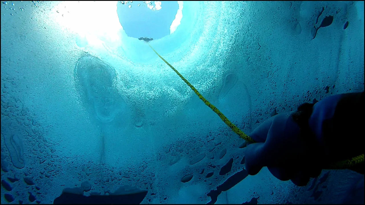 Into the Blue
